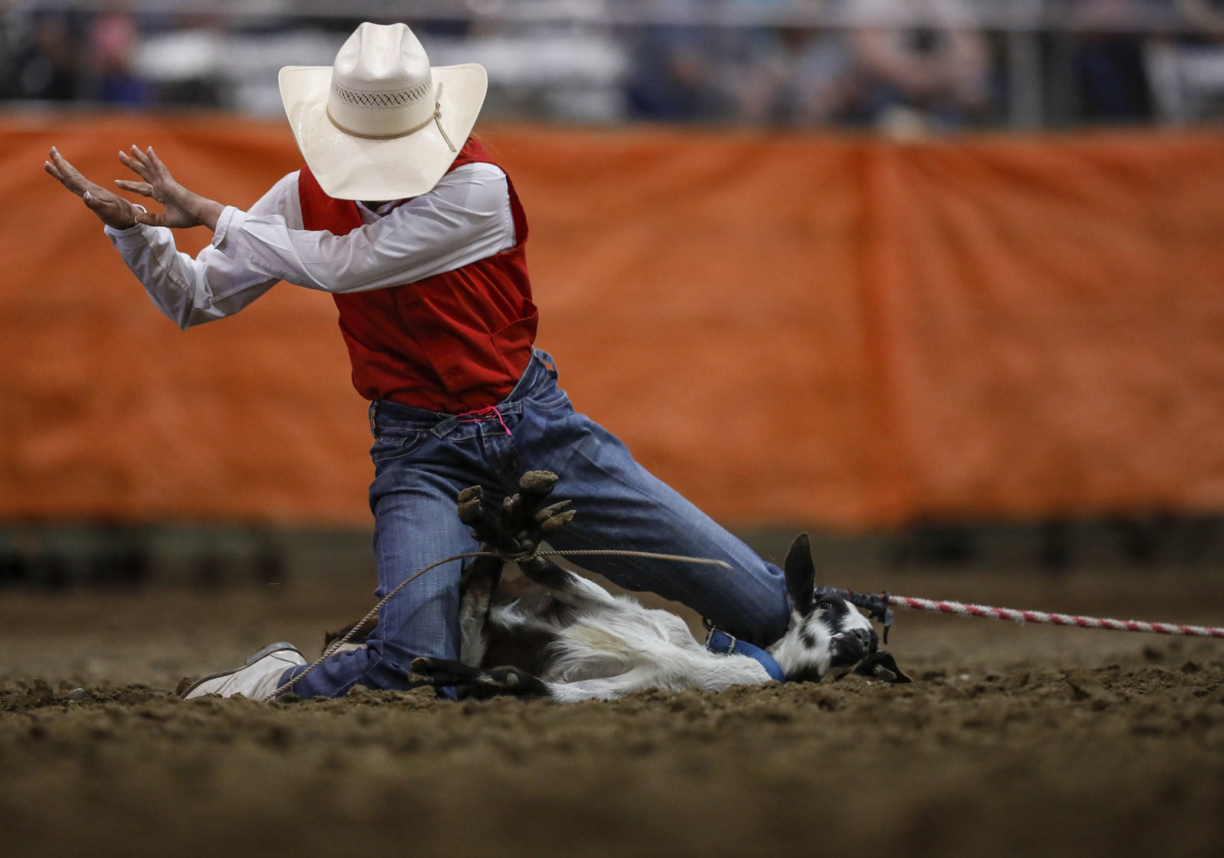 Ropin' and Riggin' Days